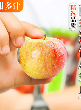 【芭芭农场兑换】南非牛顿小苹果80-100g*6枚  网球大小