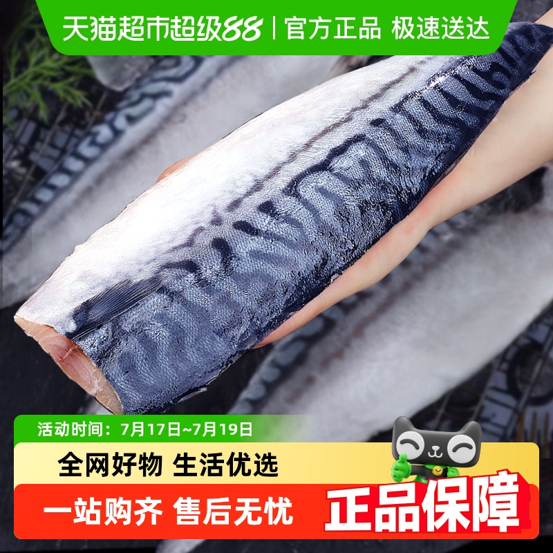 鲜驰6-8片冷冻海产品500g×2袋
