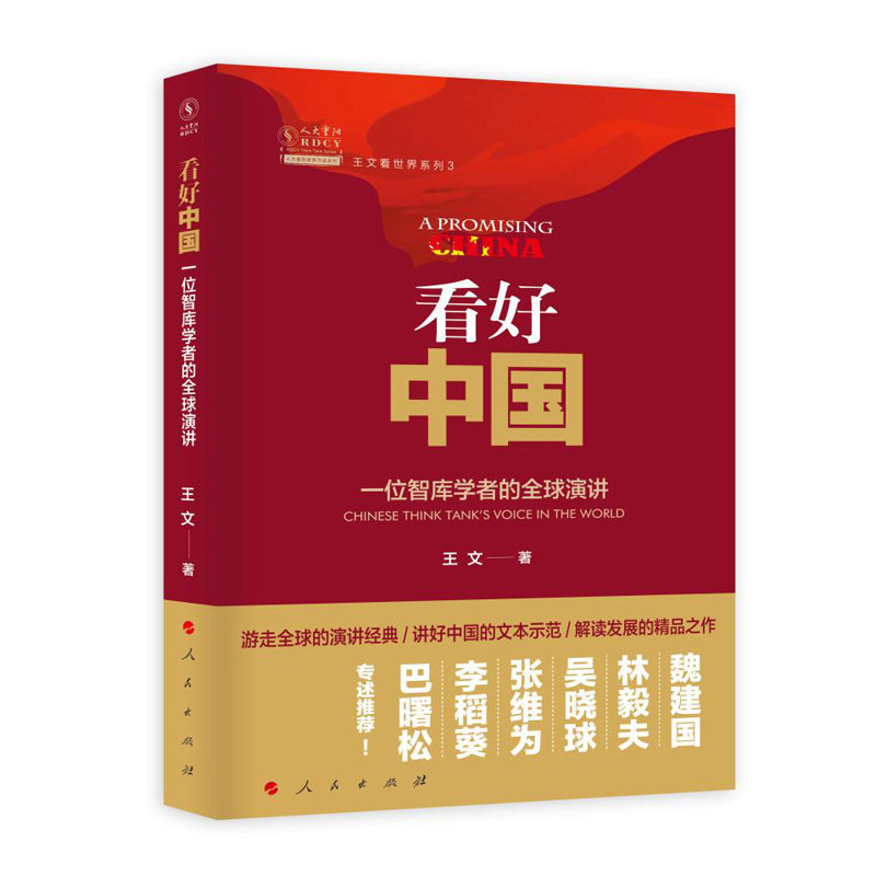 看好中国:一位智库学者的全球演讲:Chinese think tank's volce in the world 王文 中国经济经济发展演讲文集 经济书籍