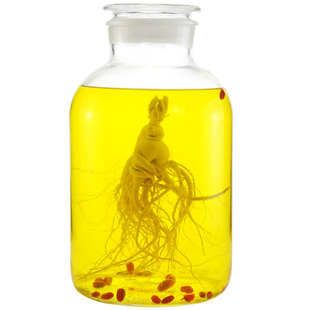 泡酒玻璃瓶专用酒瓶酒坛家用5斤10 50斤大容量人参密封玻璃泡酒罐