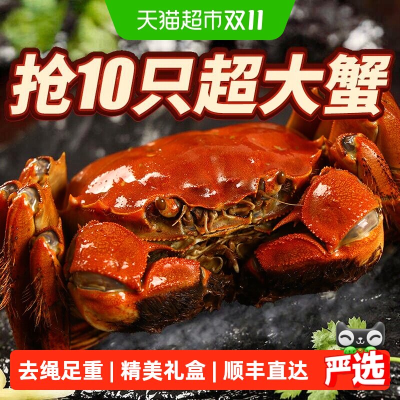 【活蟹】仲秋大闸蟹鲜活现货全母公螃蟹礼盒湖鲜河蟹去绳净重