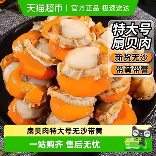云储生活扇贝肉新鲜冷冻特大号带黄带膏商用日照海鲜水产鲜活红贝