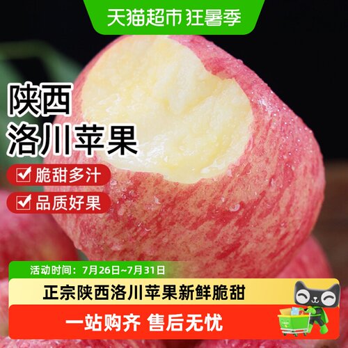 樱洛华陕西洛川红富士脆甜一级果