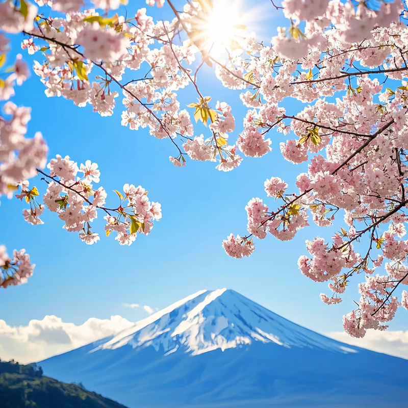 枫叶北京直飞日本7日跟团游东京1日自由活动含机票含团签1晚温泉