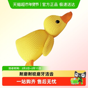狗狗玩具宠物耐咬自嗨解闷发声神器柯基小狗犬小黄鸭毛绒磨牙用品