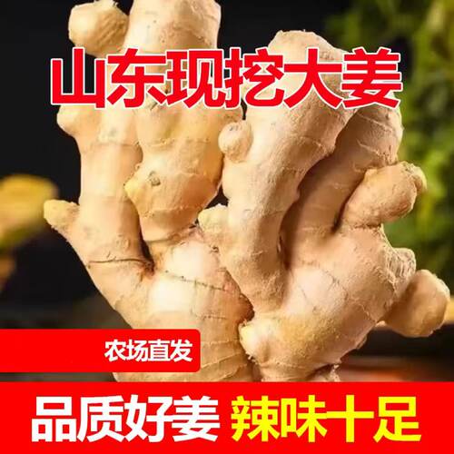 生姜山东大黄姜水洗风干姜优质姜新鲜纯天然大块老姜月子姜农家