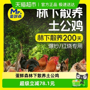 蛋鲜森林下散养土公鸡大公鸡2只农家 送80g炒鸡酱