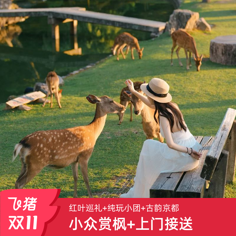 日本京都奈良1日游