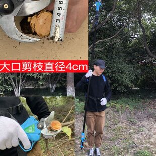 厂斯特克充电式 高空修枝剪果园树枝园艺花剪多功能加长伸缩杆电促