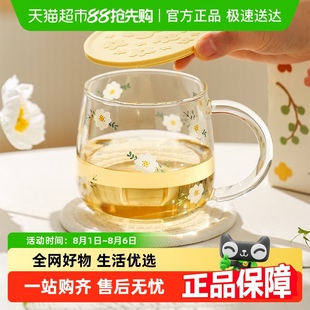 办公室水杯女高颜值高硼硅玻璃泡茶杯茶水分离杯子 川岛屋茶杯新款