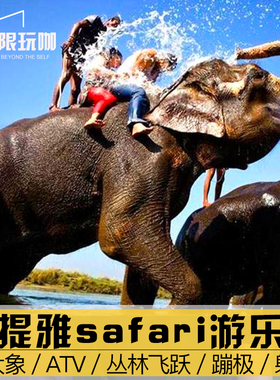 [芭堤雅野生大象公园 Thai Elephant Thappraya Safari-骑大象]泰国芭提雅骑大象村冒险园