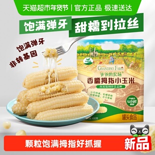 农场云南西双版 纳香糯拇指玉米甜糯粗粮早餐酸奶七色糙米粥 爷爷