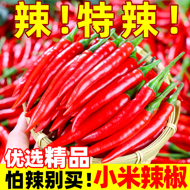 小米辣椒新鲜小米椒农家红辣椒泡椒酱5斤批发特超剁薄皮土辣椒