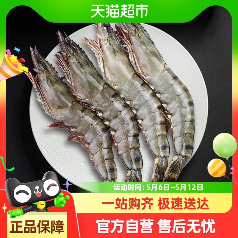 ڻϺʻٶϻϺشϺΧϺϺϺޱ߾ŽϺ99Ԫ