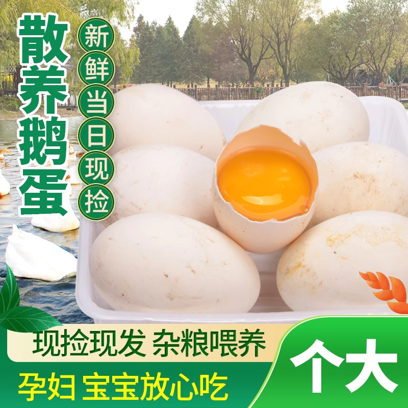 新鲜鹅蛋农家散养土鹅蛋正宗特产现捡现发6枚/12枚大个孕妇鹅蛋