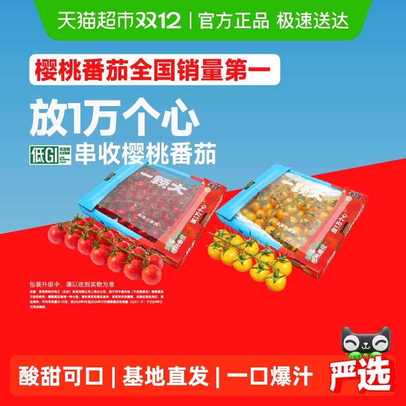 一颗大新鲜采摘串收樱桃番茄