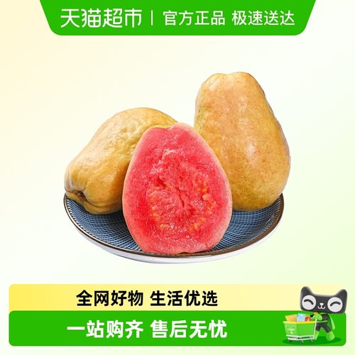 创鲜源软糯红心芭乐