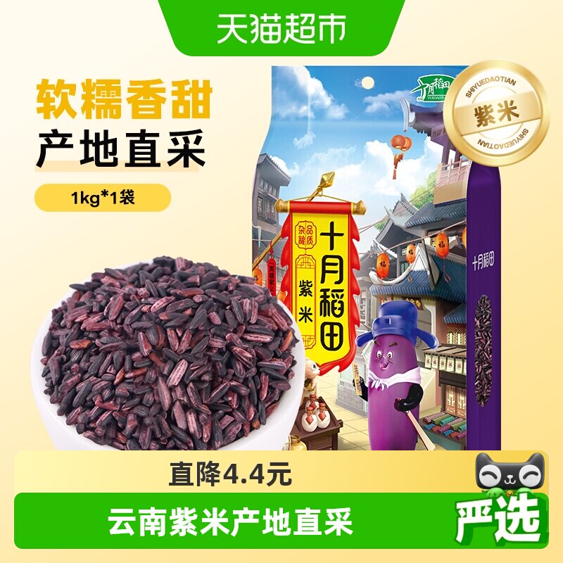 十月稻田紫米五谷杂粮糙米饭紫糯米粽子端午节紫米饭团