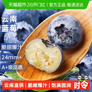 云南高山蓝莓鲜果新鲜水果超大果巨无霸高山花香蓝梅应当季整箱