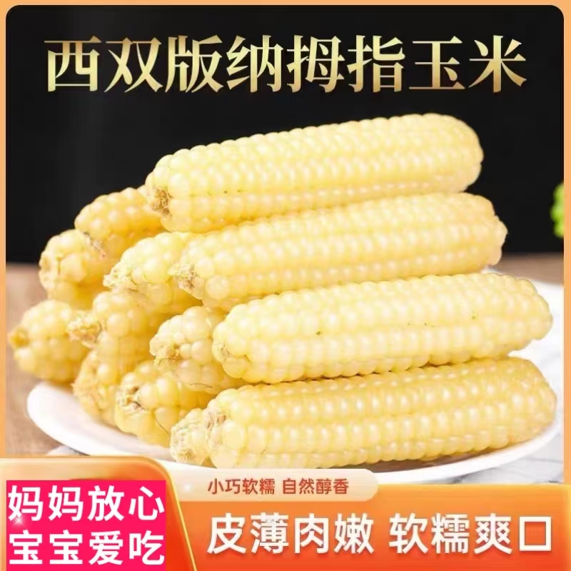 云南西双版纳拇指小玉米新鲜手指宝宝糯玉米黏早餐即食真空甜玉米