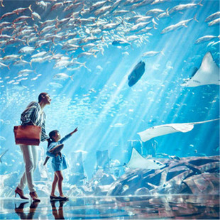 三亚亚特兰蒂斯 水族馆+水世界