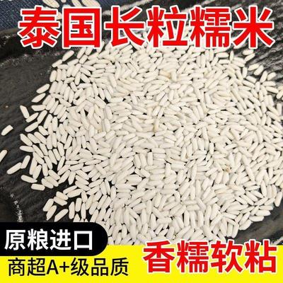 新米泰国糯米农家正宗白糯米长粒江籼米新货专用饭团酿酒包粽子
