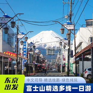 9人小团日本东京富士山一日游河口湖山中湖水陆巴士忍野八海接送