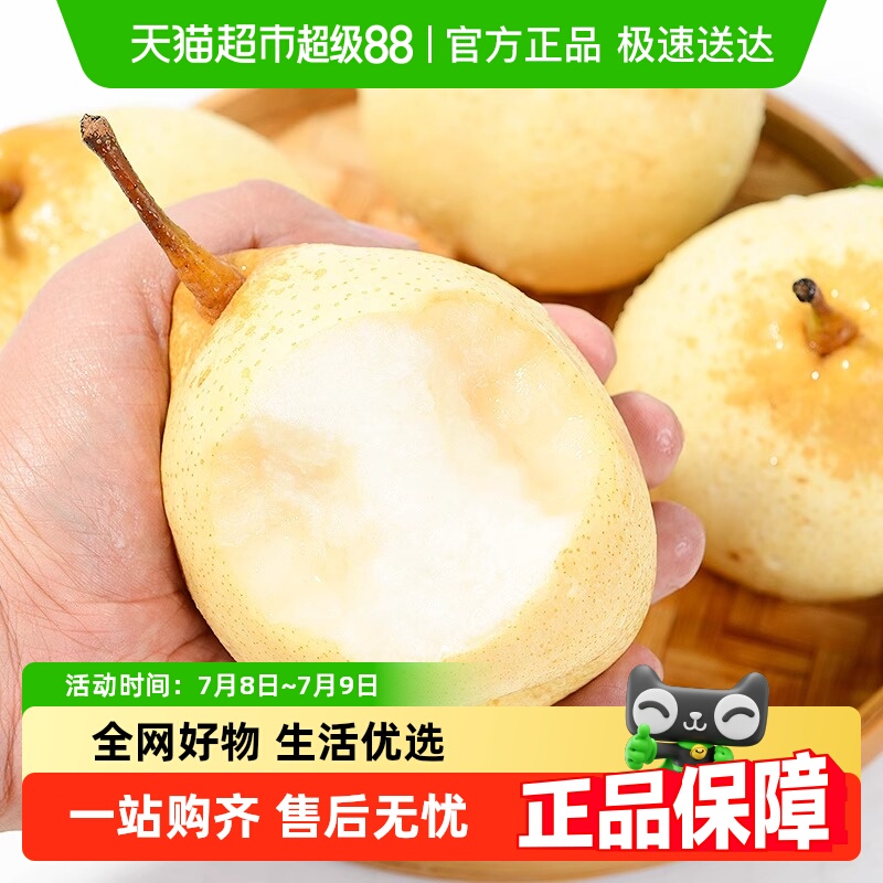 新鲜砀山酥梨梨子