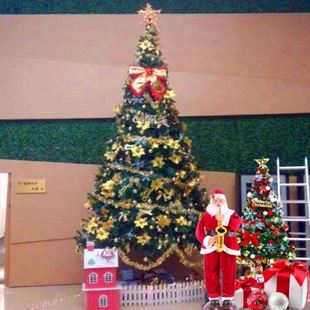 销户外大型加密6米圣诞树套餐 饰 商场酒店圣诞节装 圣诞树I套装