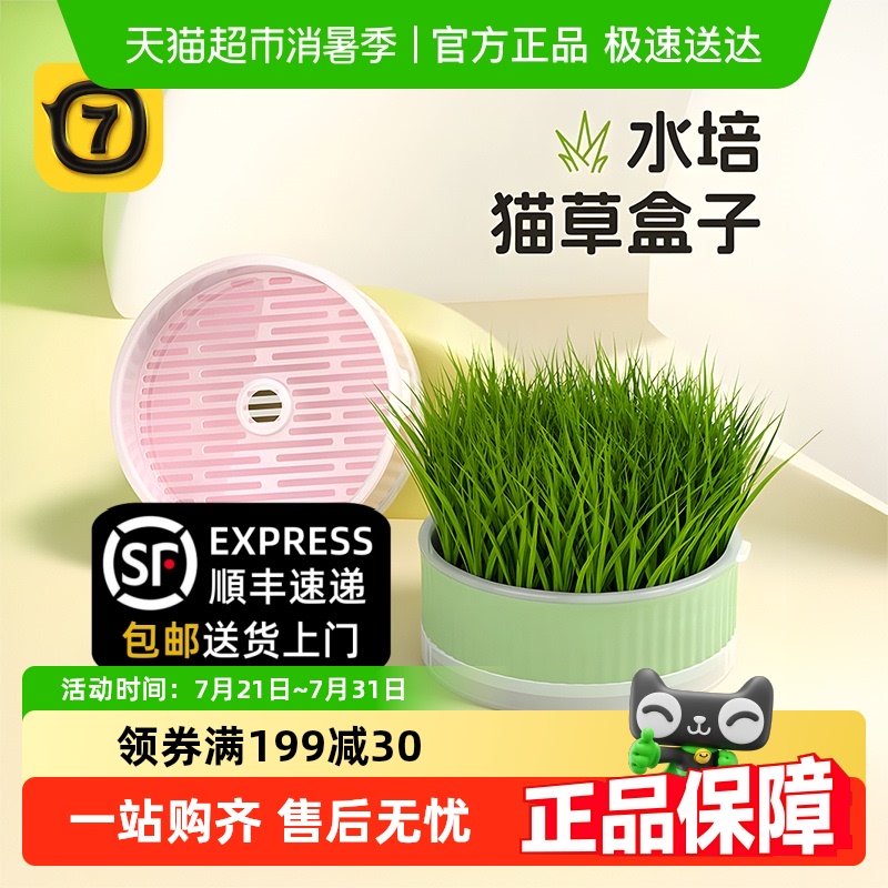 柒哦无土水培天然排毛化毛猫草片