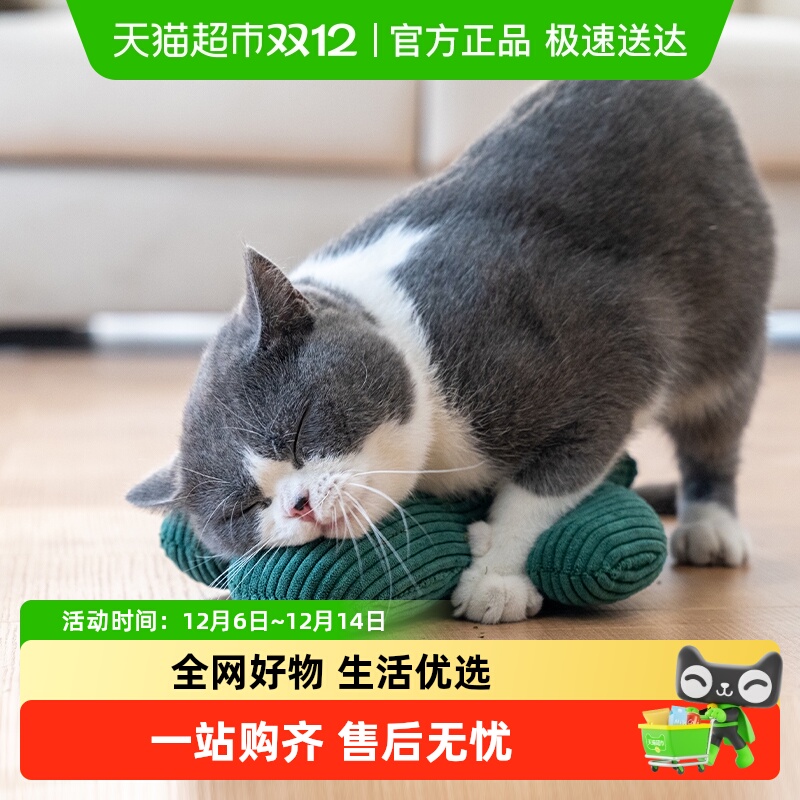 zeze仙人掌猫薄荷抱枕猫咪玩具