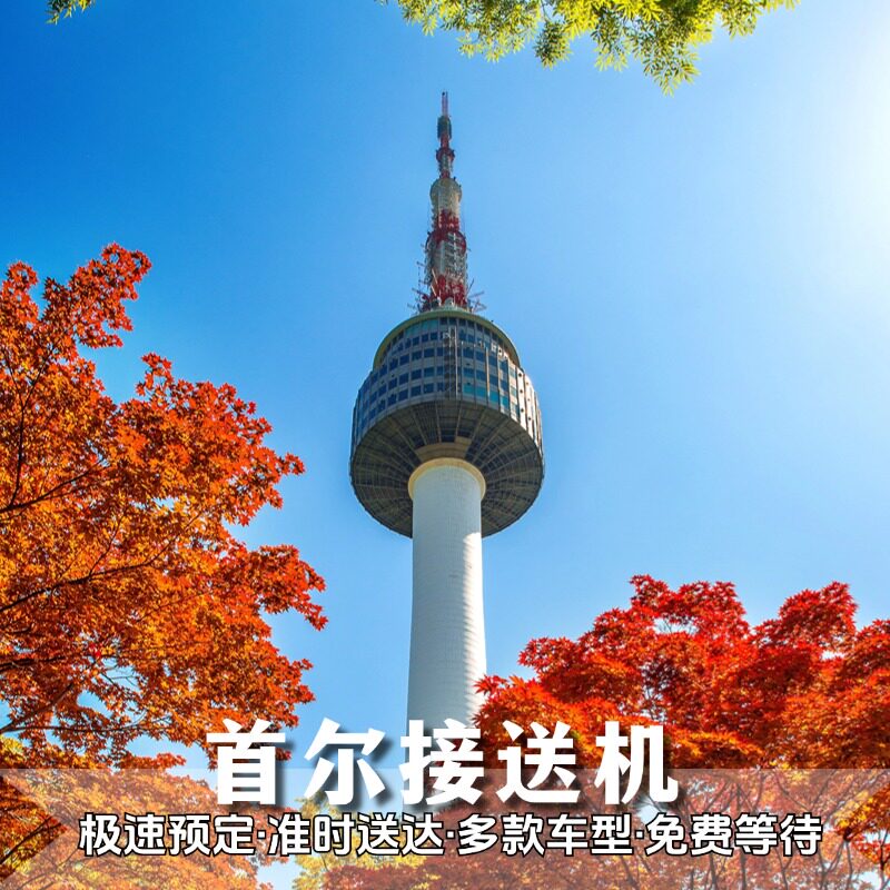 首尔机场接送中文服务图片
