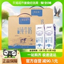 2箱低脂健康 特仑苏低脂纯牛奶250ml 16盒
