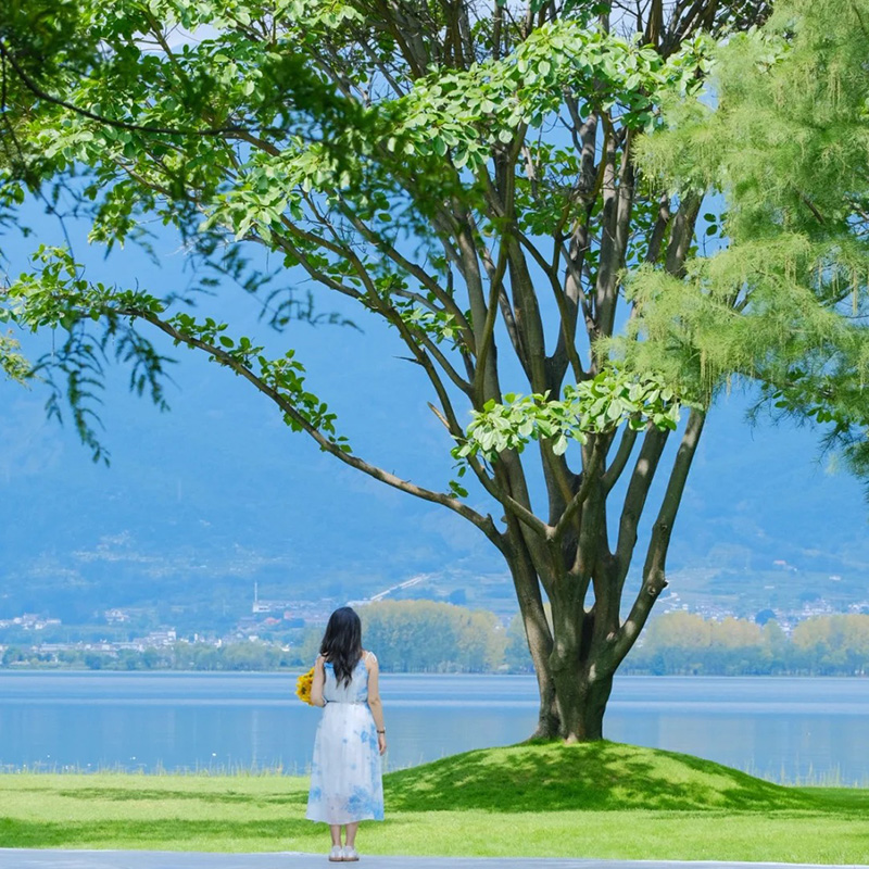 定制链接定制补差