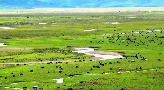 首创若尔盖游牧庄园樱花列车九曲黄河花湖美食旅拍舒适纯玩3日游|ruв категории праздник линий/отправить закрыть визы/служба туризма, свободной линии/с Миссией плавать, в стране с Миссией плавать - от Buy2taobao.com для оказания профессиональной услуги покупки агента Taobao