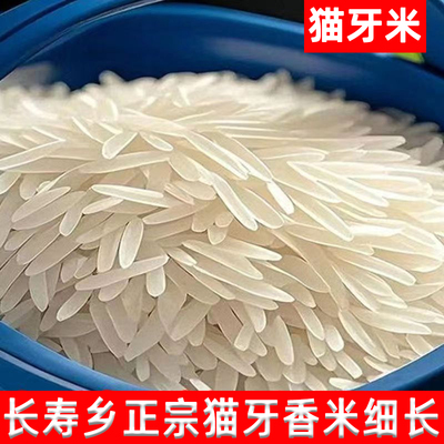 正宗猫牙香米广西上林一级大米2025年新米长粒香米丝苗米生态大米