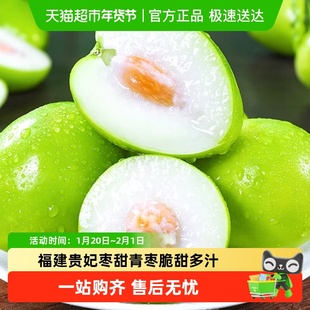 福建贵妃枣甜青枣脆甜多汁应季新鲜水果现摘脆枣子整箱