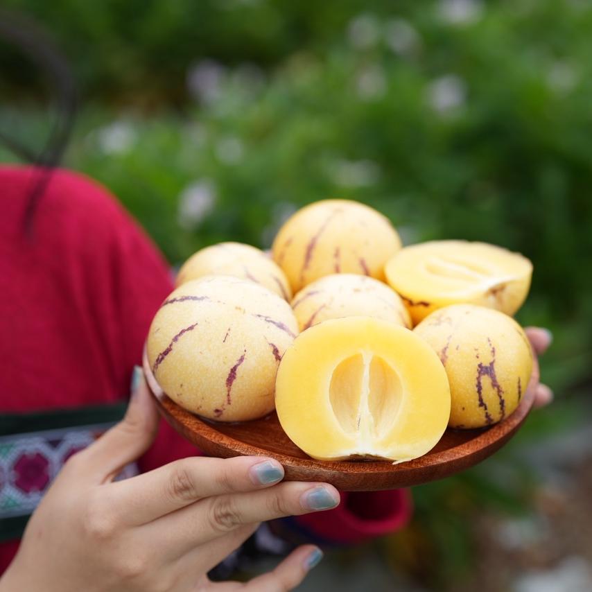 自然熟过绿萌设备智能分拣