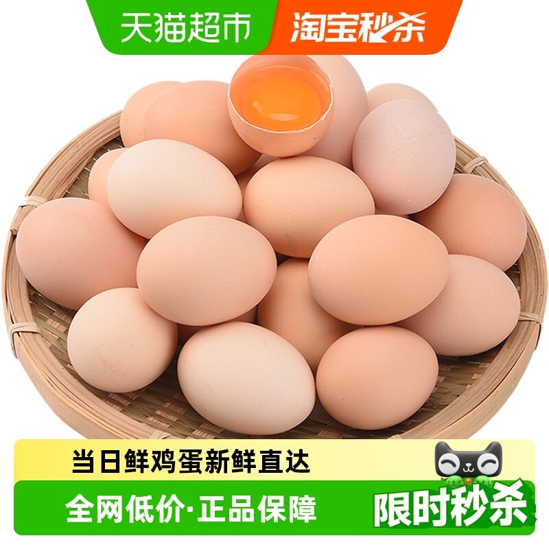 晨诚新鲜50枚装土鸡蛋45g×50只