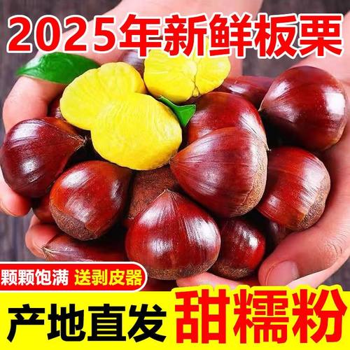 2025年新鲜板栗正宗丹东板栗当季栗子高山农家毛栗子整箱包邮