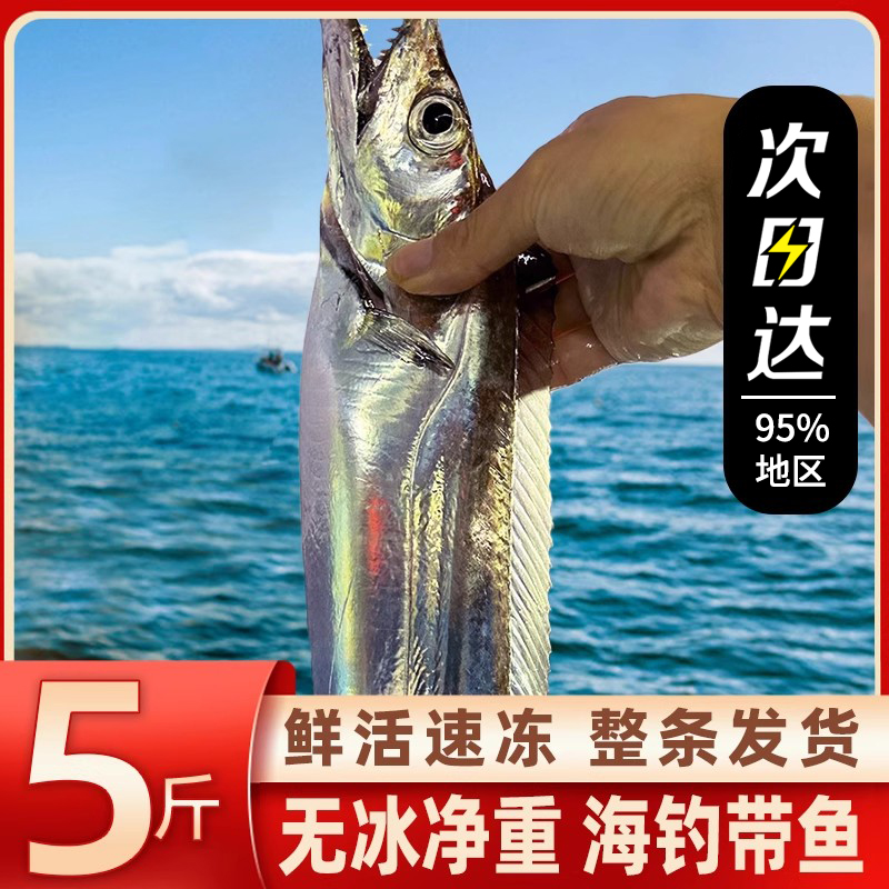 带鱼特级大整条新鲜冷冻鲜活东海钓带小眼睛带鱼中段10斤整箱礼盒