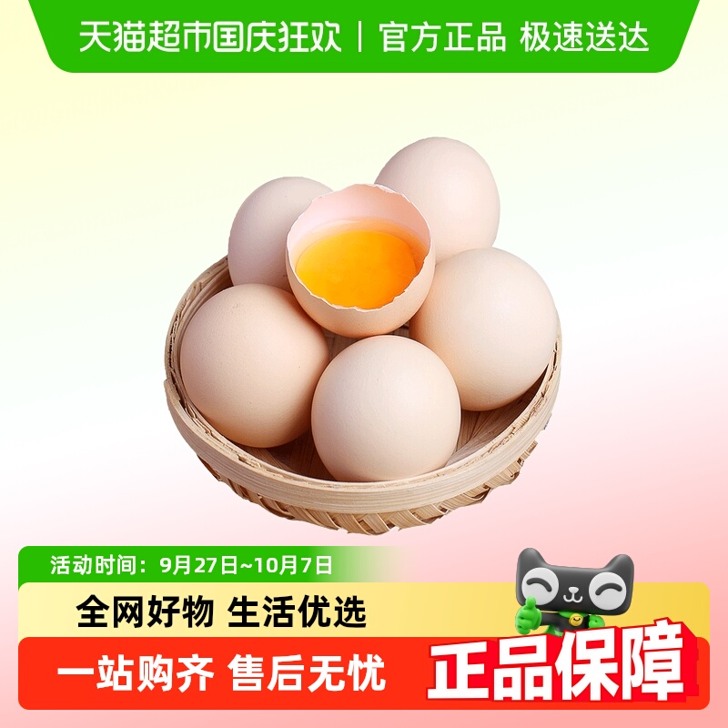 绿田逐谷物鲜鸡蛋