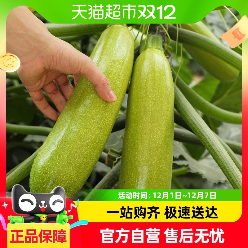 �ٺ̴䱦2��ˮ������«����30���������߲˲��ֲ��Ѹ߲��ļ��Ϸ�