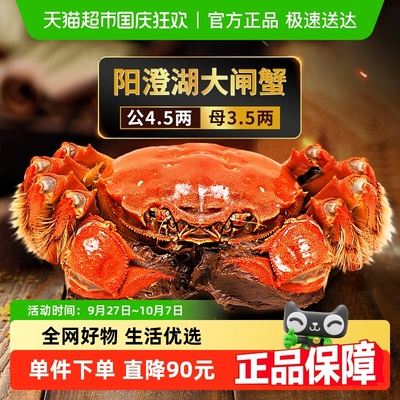 湖东蟹公4.5母3.5两大闸蟹螃蟹