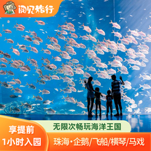 2天1晚珠海长隆企鹅/横琴湾/马戏/飞船酒店海洋王国宇宙门票套票H