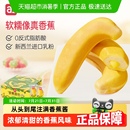 a1早餐面包香蕉面包夹心吐司小面包儿童营养早餐速食零食代餐整箱