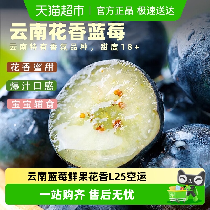 云谷造云南蓝莓鲜果花香L25空运