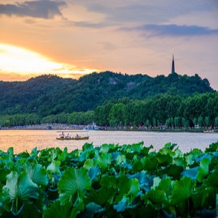 杭州西湖 千岛湖 上海4日游 东方明珠 夜游乌镇 纯玩线 跟团旅游