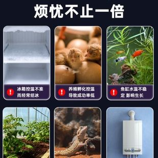 温控开关温控器数显智能温循环泵控全自动器锅炉插座温度控制器