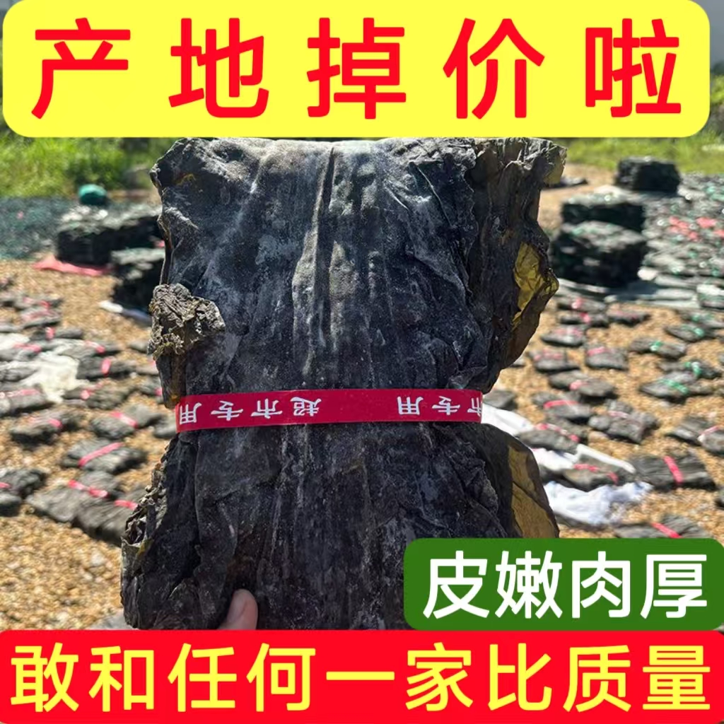 海带干货叶大肉特厚日晒海带无沙泡发高霞浦特产炖菜煲汤批发商用